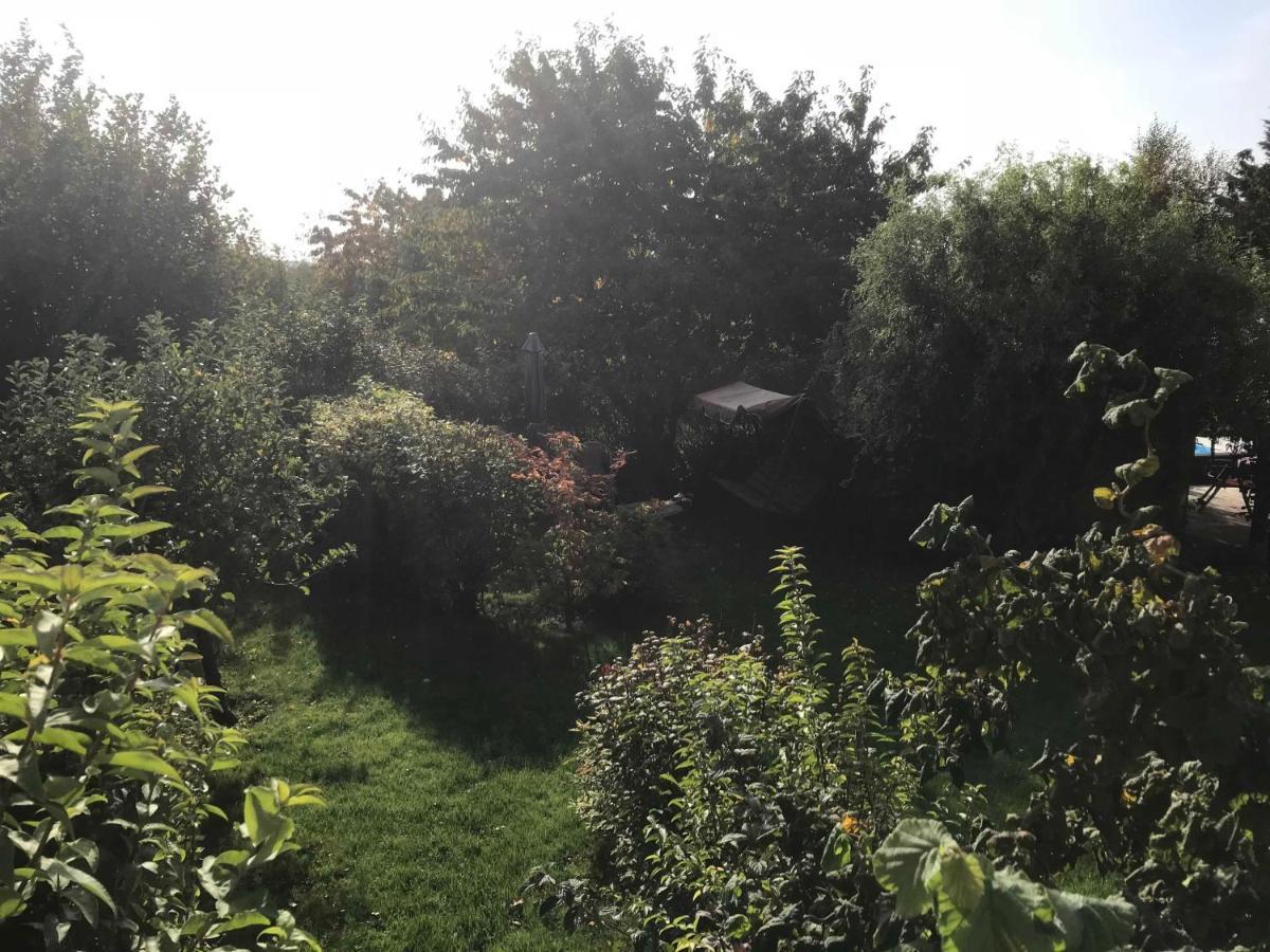 Fewo In Sonniger Lage In Sagard Exterior photo